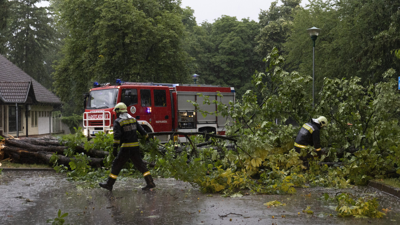 A viharban kidőlt fát távolítanak el az útról tűzoltók Nagykanizsán 2023. június 23-án.