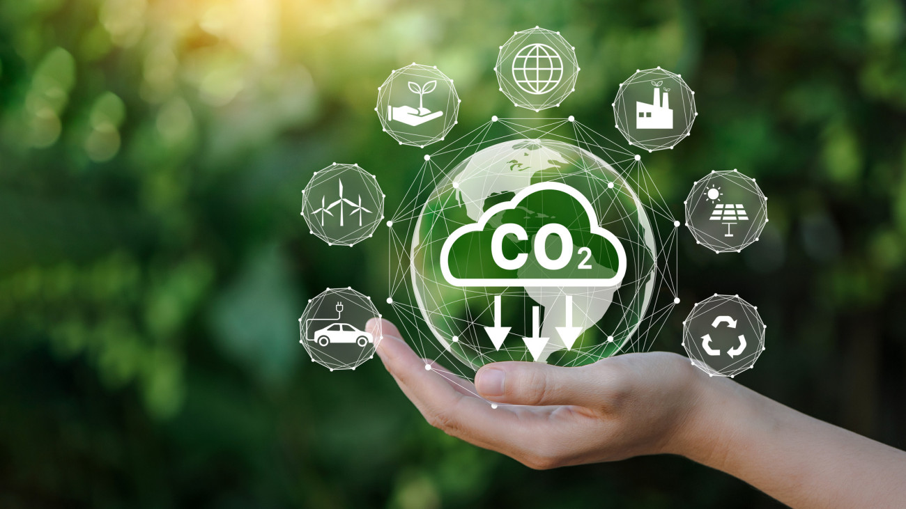 Reduce CO2 emission concept in the hand for environmental, global warming, Sustainable development and green business based on renewable energy.