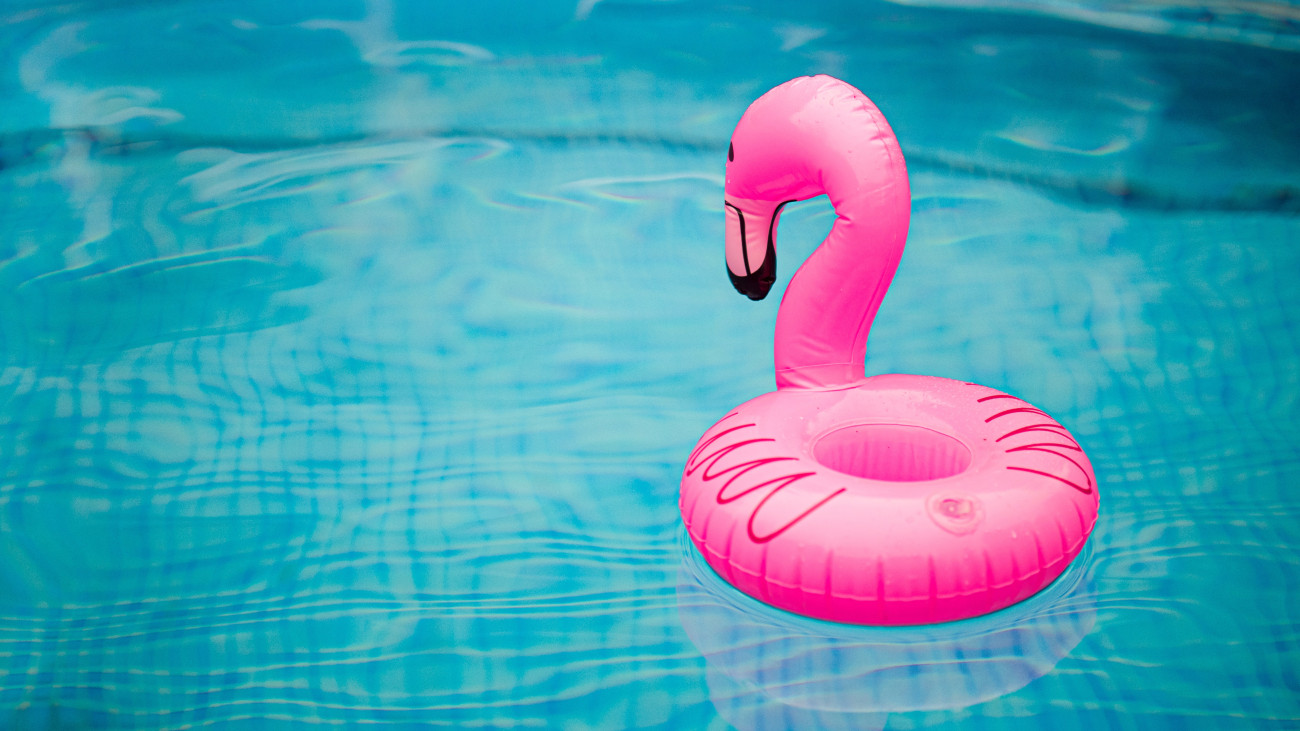 medence, strand, flamingó, úszógumi