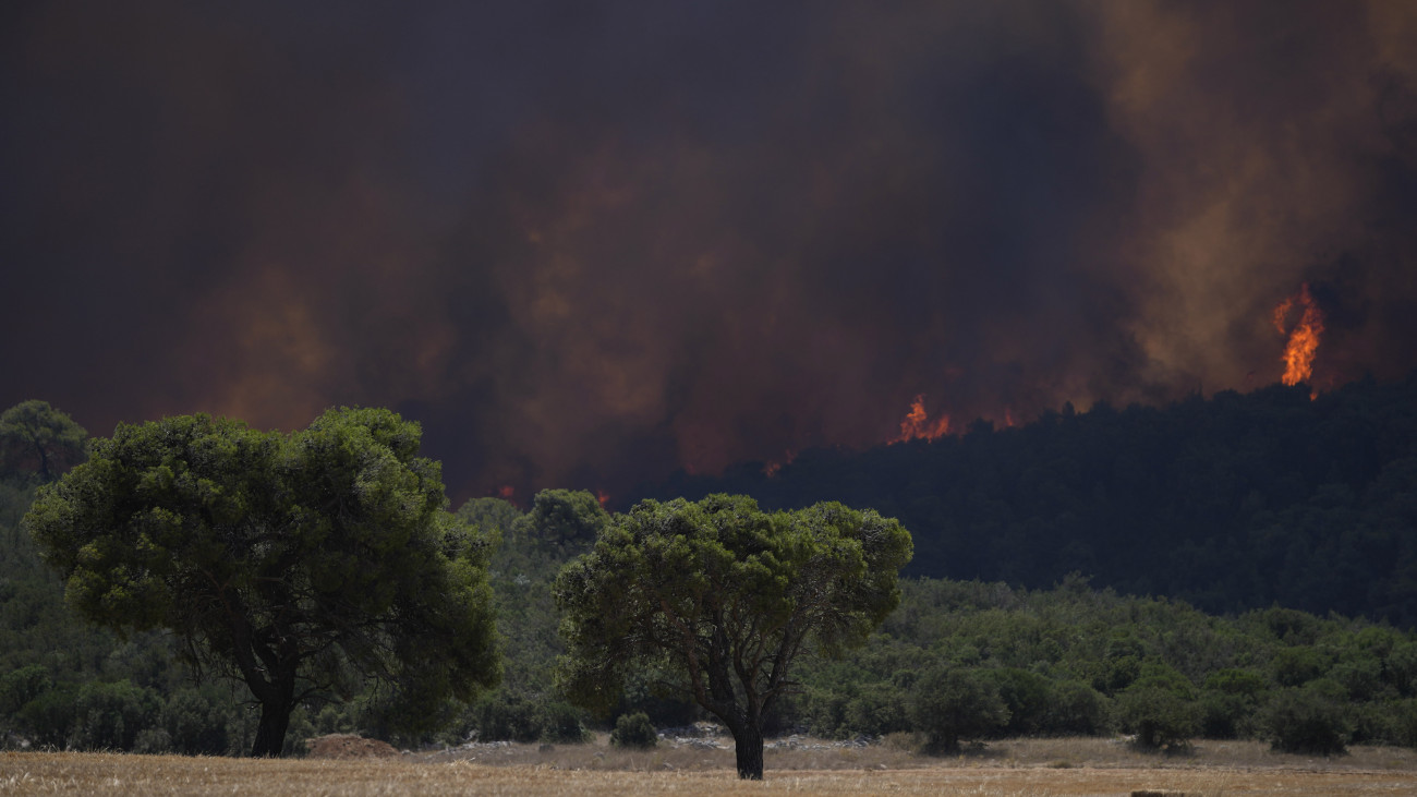 Erdőtűz az Athén közelében fekvő Inoi környékén 2023. július 18-án, amikor második napja pusztítanak lángok a görög főváros környékén.