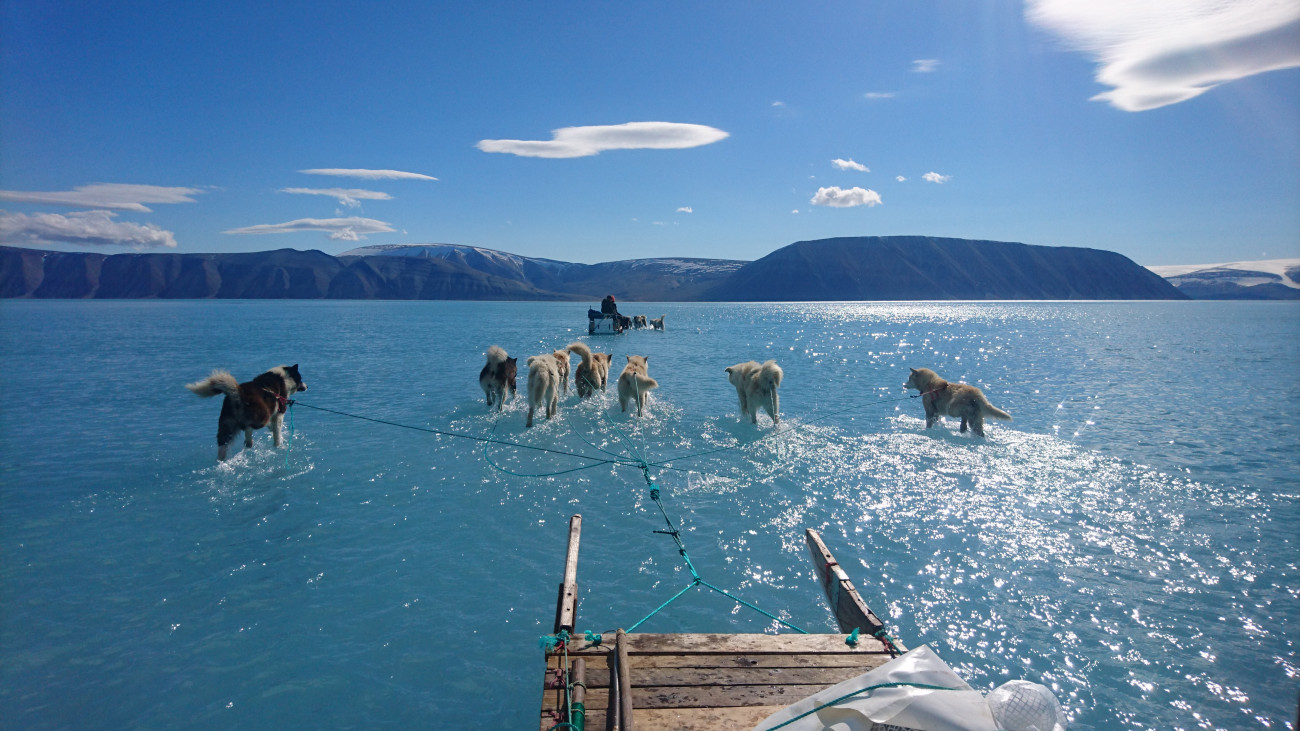 A Dán Meteorológiai Intézet által közreadott képen a tenger part menti olvadó jegén haladnak kutyaszánok Grönland északnyugati részén 2019. június 13-án. A szokatlan meleg miatt gyorsan felhalmozódott az olvadékvíz a felszínen rekedt, mert a jégen lévő nagyon kevés repedés miatt nem tudott levezetődni a szilárd jégről.MTI/EPA/Steffen M. Olsen