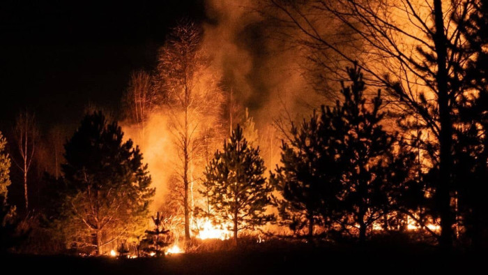Rengeteg ember bennégett egy görög erdőben