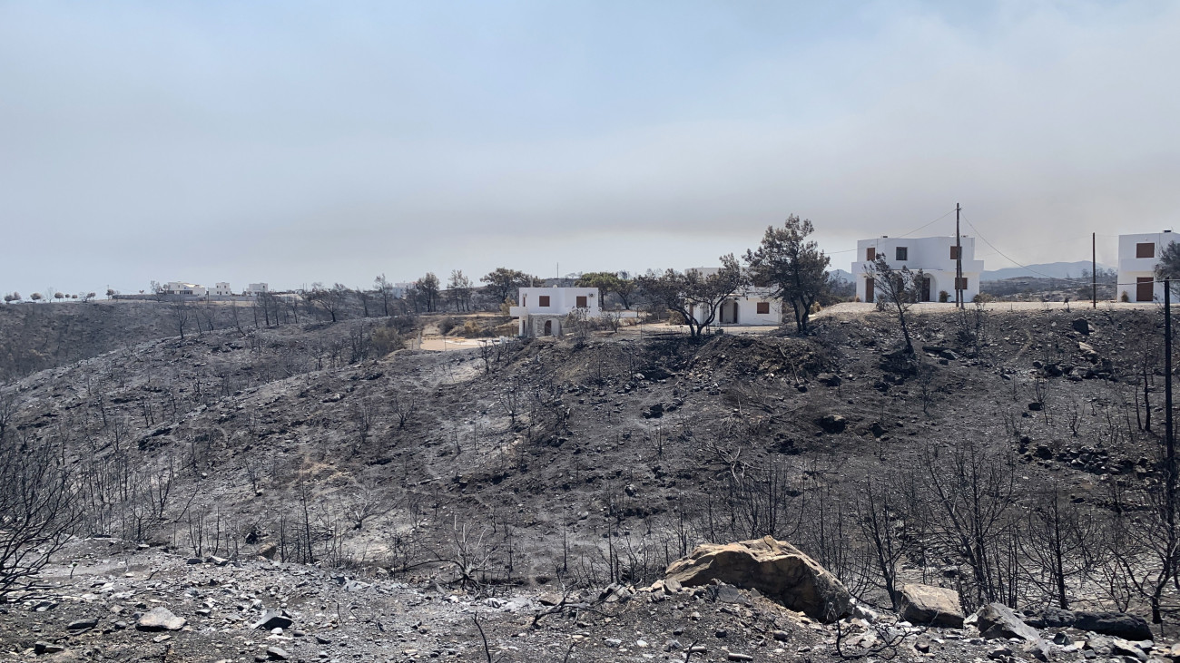 Az erdőtűz által felperzselt terület a Rodosz szigetén fekvő Gennadi település közelében 2023. július 26-án. A görög hatóságok közölték, hogy sikerült korlátok közé szorítani a Görögország különböző pontjain több mint egy hete tomboló erdőtüzeket, egyetlen település sincs már veszélyben.