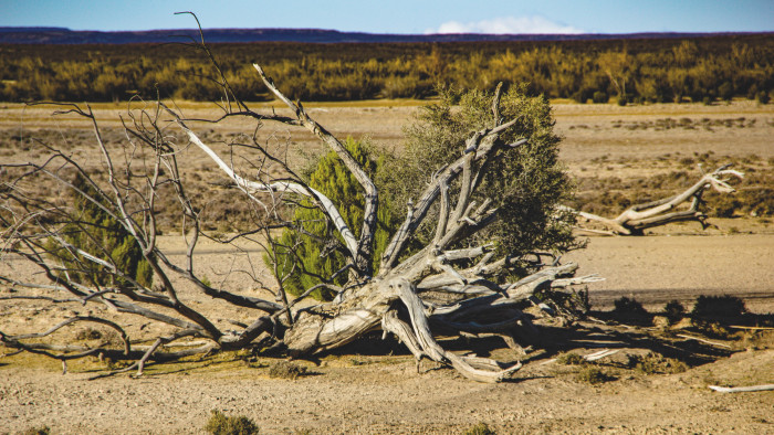 Az EP komoly döntést hozott az éghajlatváltozás lassítására