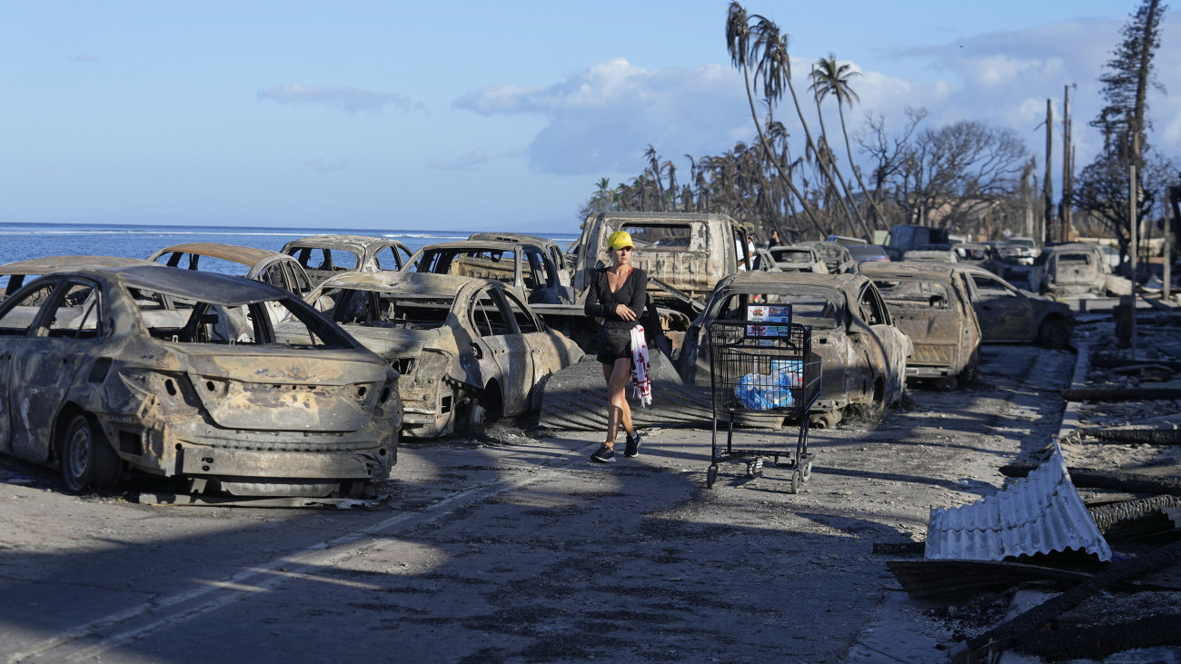 Erdőtűzben kiégett autók roncsa között egy nő a hawaii Maui-szigeten fekvő Lahainában 2023. augusztus 11-én. A Mauin tomboló tűzvész legalább 53 ember halálát okozta, Hawaii kormányzója szerint Lahainából alig maradt több parázsló romoknál, ez az állam történetének legsúlyosabb természeti csapása.