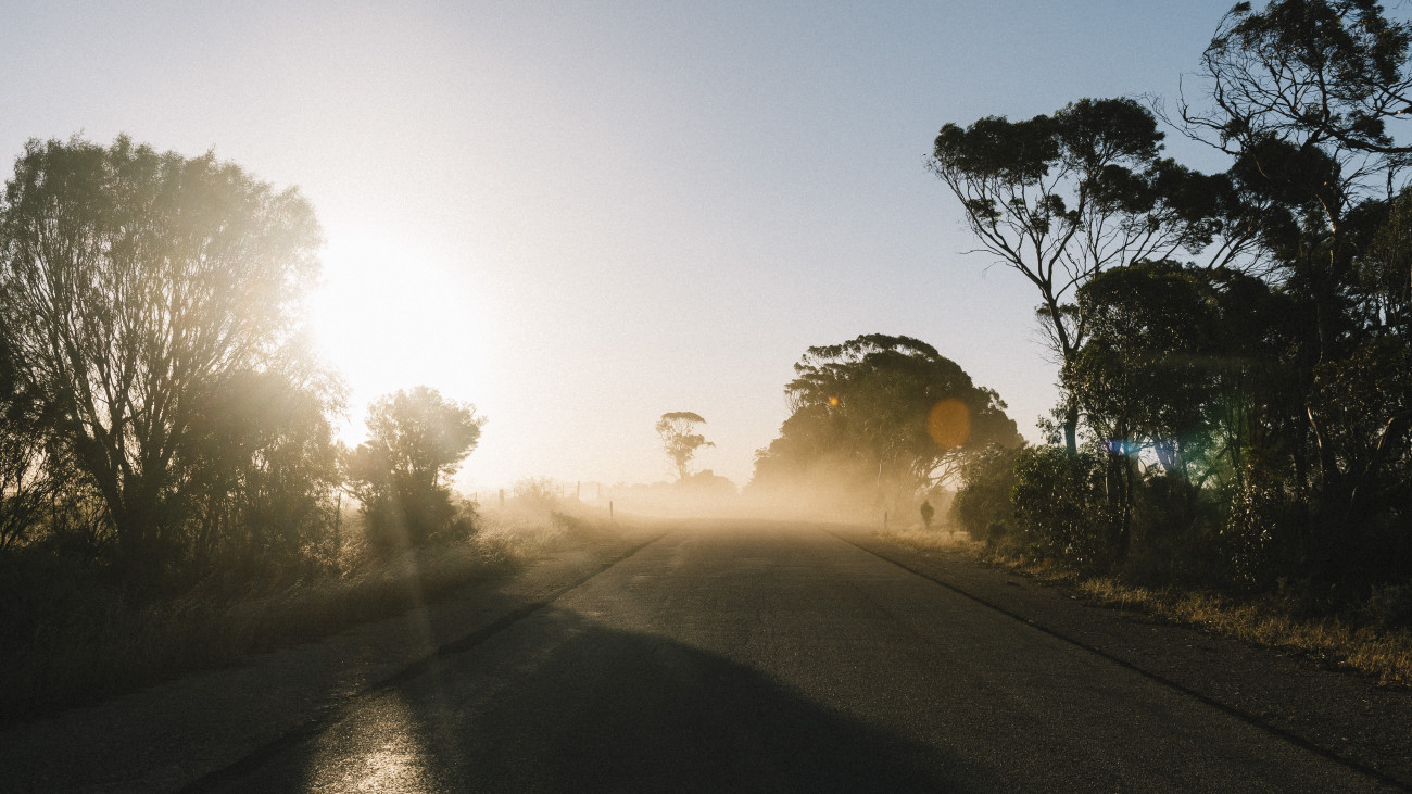 Golden sunset and dust blows over an Australian outback road lined with gum trees.