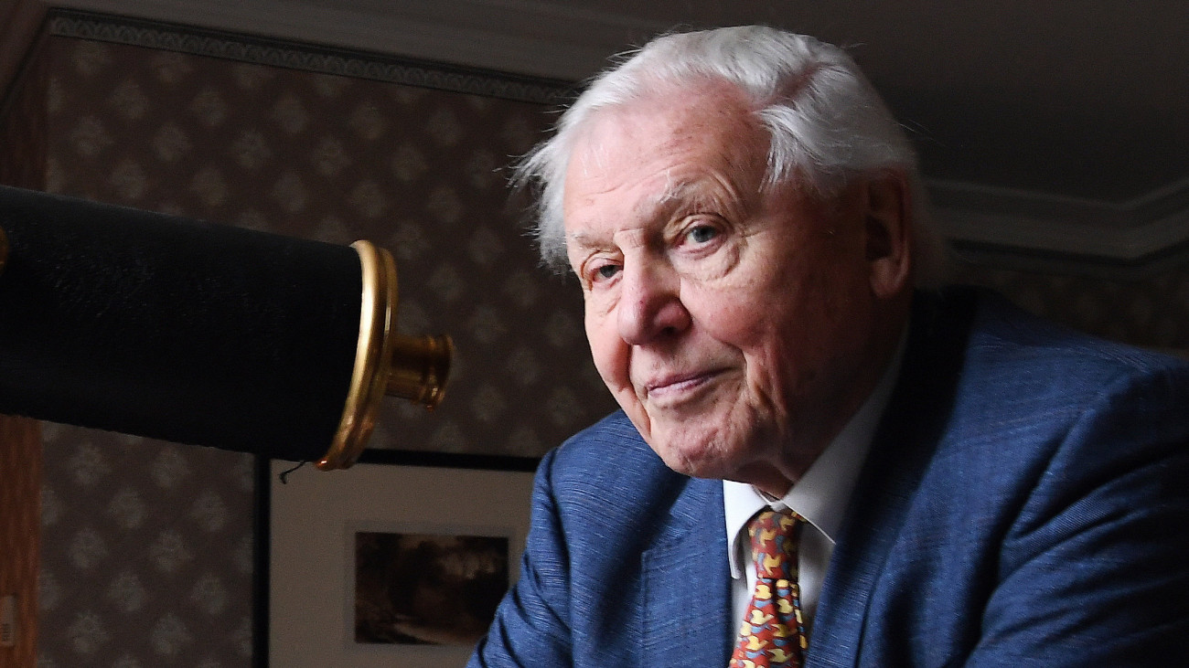 Sir David Attenborough brit természettudós és ismeretterjesztő dokumentumfilmes a Joseph Mallord William Turner angol romantikus festő alkotásaiból rendezett kiállításon Turner otthonában, London Twickenham nevű külvárosában 2020. január 10-én.