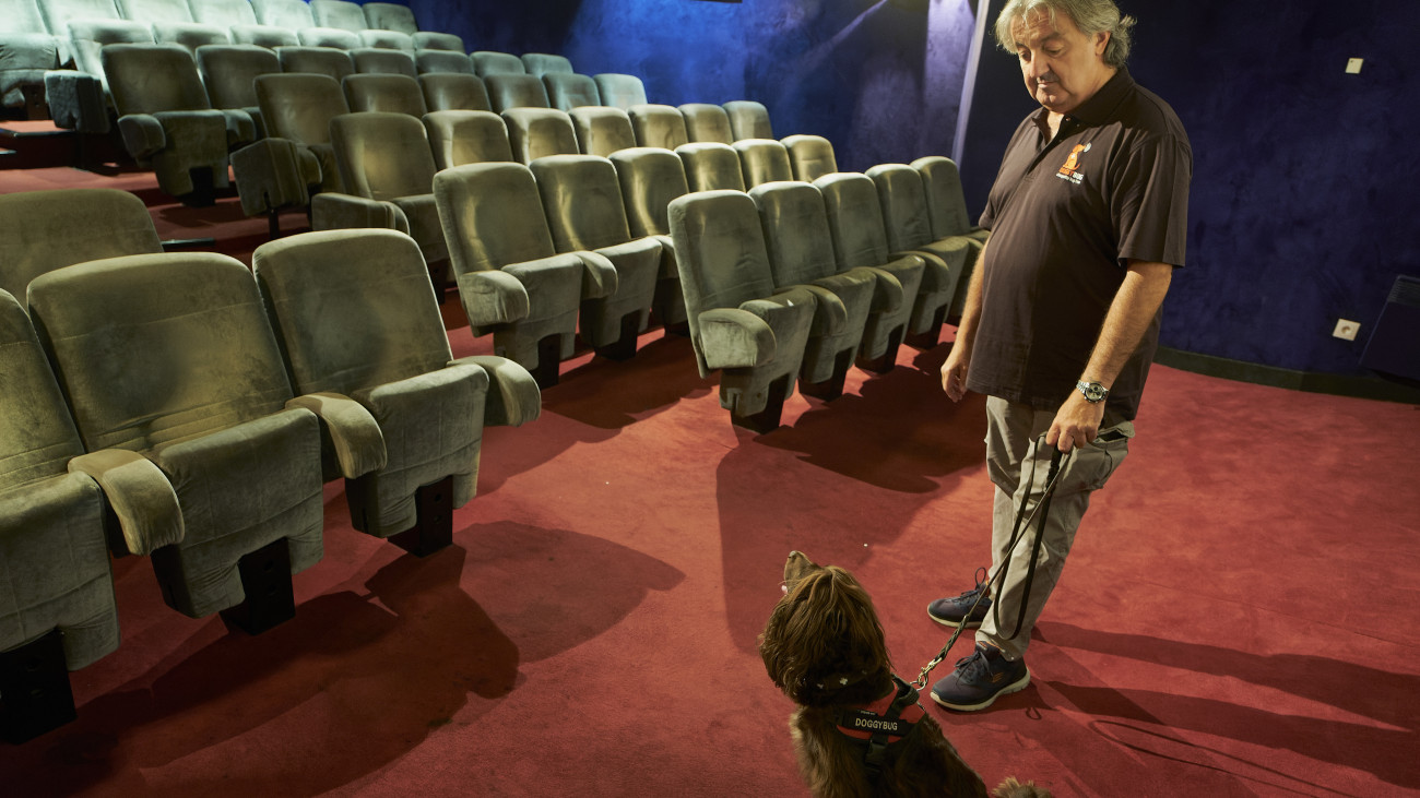 PARIS, FRANCE - OCTOBER 9: Aldo Massaglia from a company called Doggybug guides a sniffer dog through a cinema to look for the presence of bedbugs on October 9, 2023 in Paris, France. France has seen a resurgence of bedbug sightings in places such as schools, trains and cinemas, sparking a frenzy of activity to detect them and get a grip on the situation.  The blood-sucking insect, cimex lectularius, is increasingly difficult to exterminate because of heightened resistance to products that are used to eradicate them. Officials are equally worried about the impact this might have on the Olympic Games 2024, that Paris hosts in 10-months time, with hundreds of thousands of visitors staying in hotels and other lodgings in and around the city. (Photo by Remon Haazen/Getty Images)