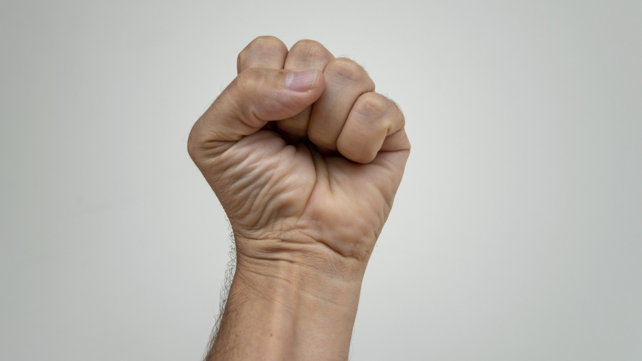 Clenched fist on white background. hand with closed fist. symbol of claw, strength and fight