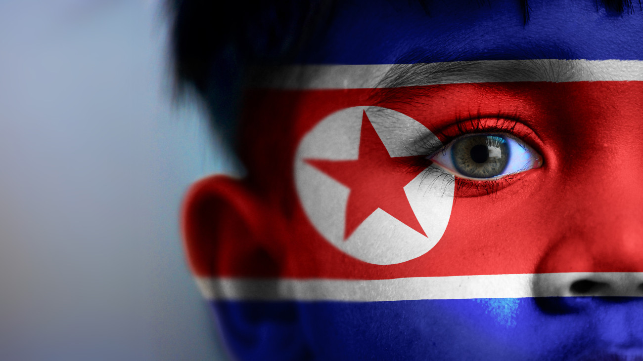 Boys face, looking at camera, cropped view with digitally placed North Korea flag on his face.