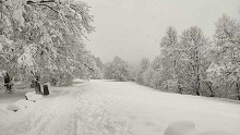 Tisztázta a Normafa Park, lehet-e síelni, kirándulni