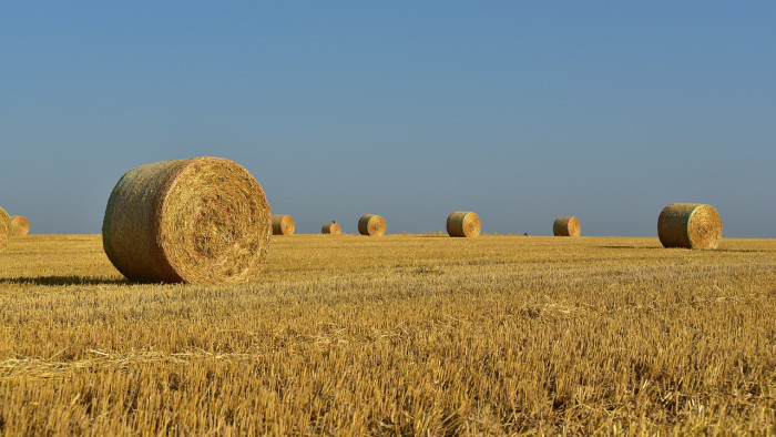 Hatalmas akcióra készülnek a szlovákiai gazdák