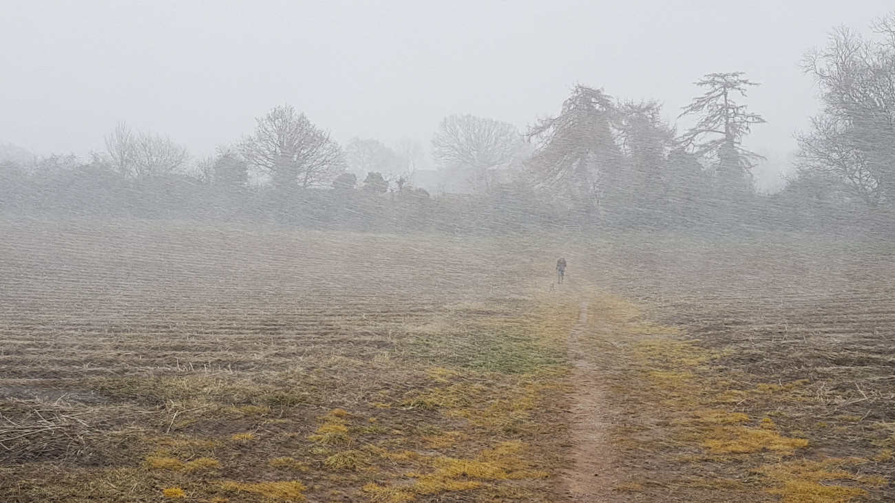 Person walking through field in a blizzard, field in Hartlebury Worcestershire on 17 March 2018