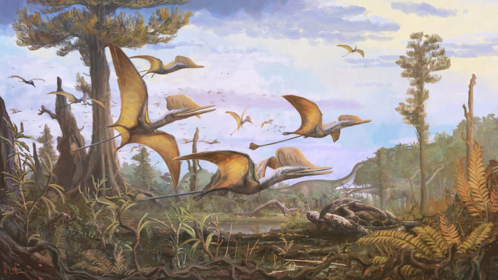 Erről a pteroszauruszról eddig azt sem tudták, hogy volt valaha