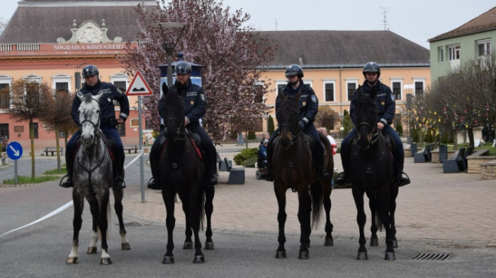 Ismét bevetették a lovasrendőröket Nógrádban, elmondták, hogy kik ellen a leghatékonyabbak