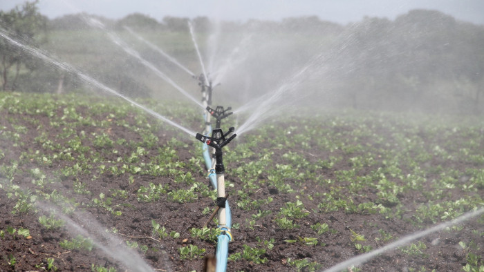 Ingyenes vízhasználattal könnyíti a mezőgazdasági öntözést a kormány