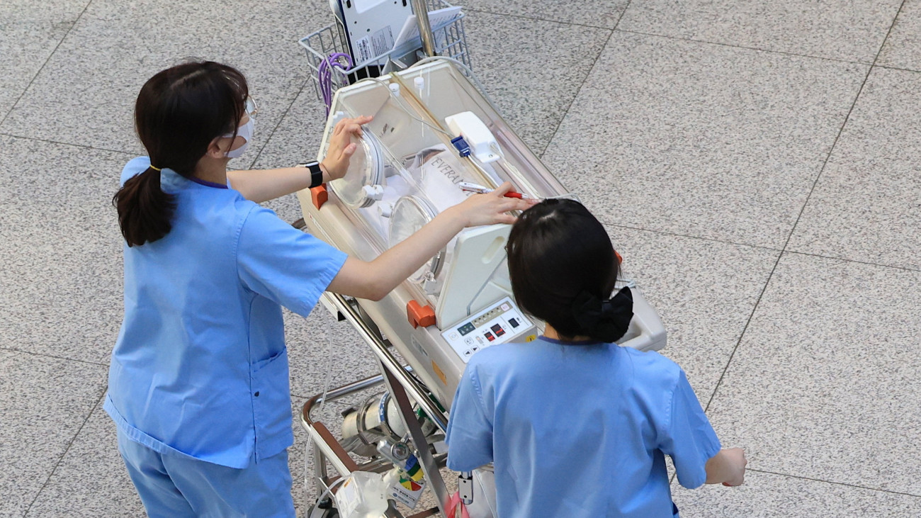 Inkubátort szállítanak nővérek egy szöuli oktatókórházban 2024. március 8-án, a dél-koreai orvosok három hete tartó országos részleges munkabeszüntetése idején. Az orvoshiány miatt átmenetileg nővérek is elvégezhetnek olyan feladatokat, amelyeket egyébként csak orvosok hajthatnak végre, és a hadikórházakat is megnyitották a civil betegek előtt.