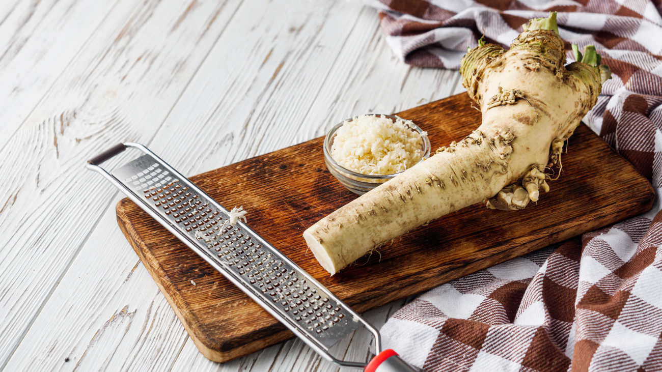aromatic horseradish root on a white rustic wooden background.