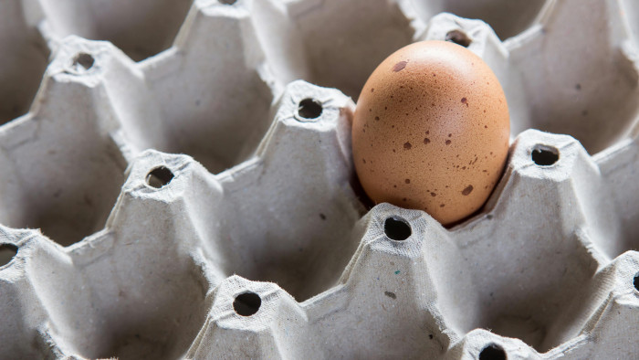 Hullámvasutazik a tojás ára, de van rá magyarázat