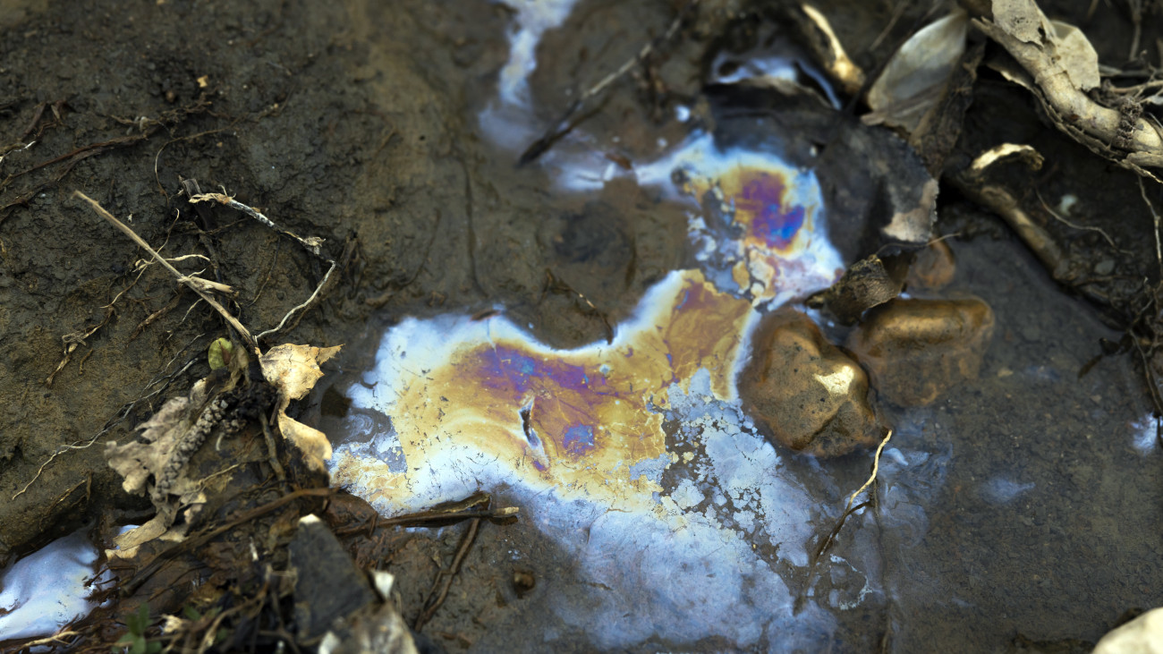 Oil Pollution on Soil of a RiverBed