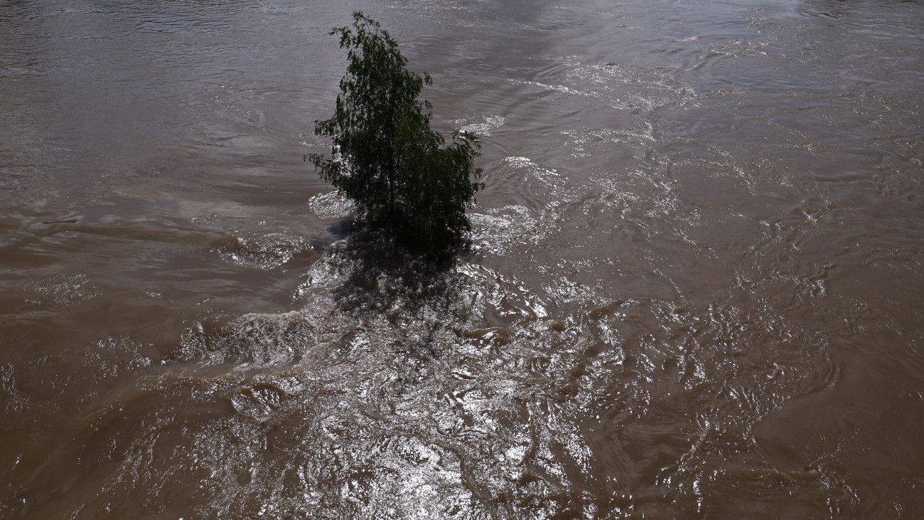 A megáradt Duna vize a bajorországi Regensburgban 2024. június 4-én. Az elmúlt napok heves esőzései miatt Németország déli részének számos települését árvíz sújtja. Regensburgban rendkívüli állapotot hirdettek a közel hatméteres vízállás miatt.