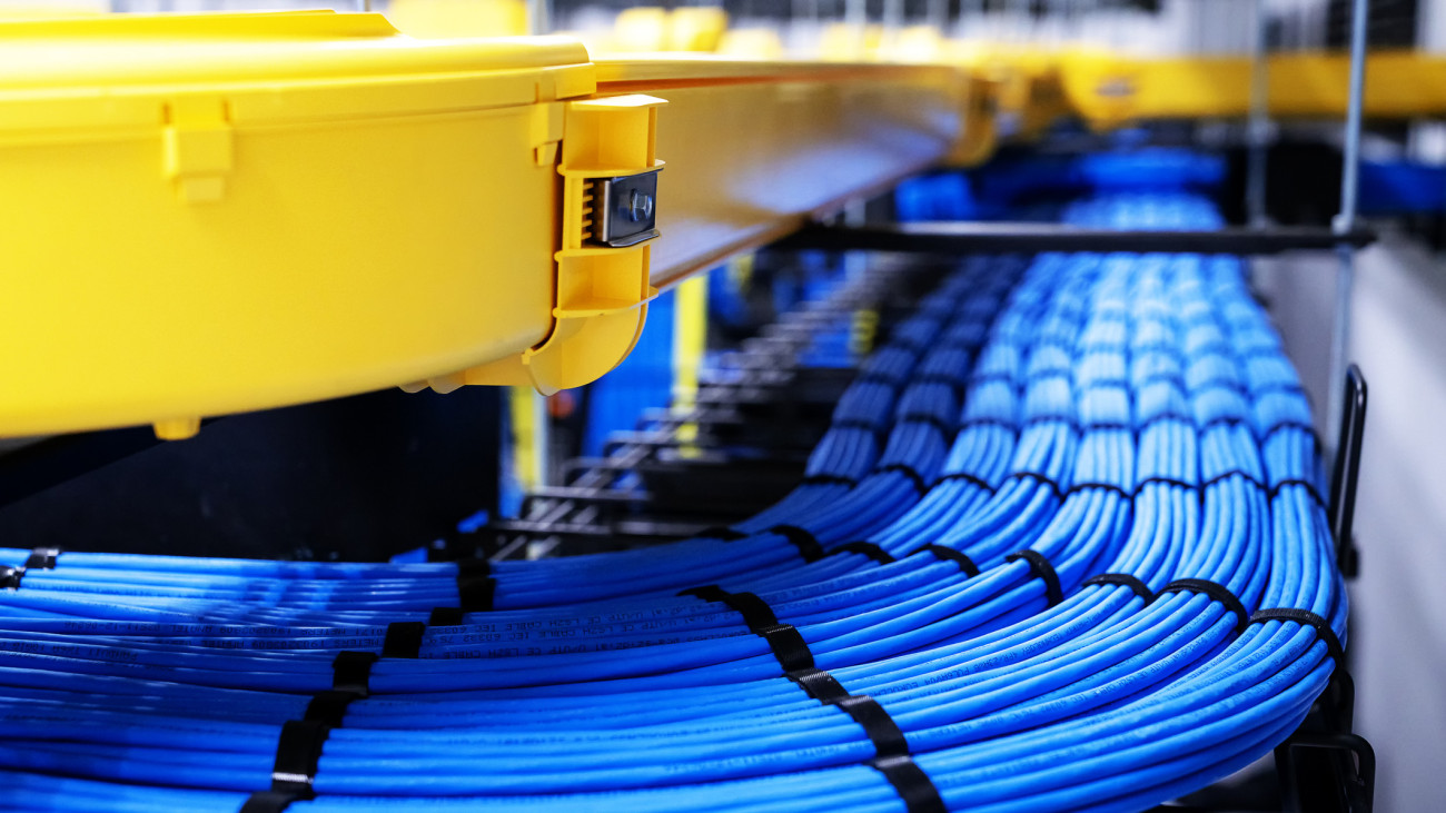 Blue network cable in Data Center room