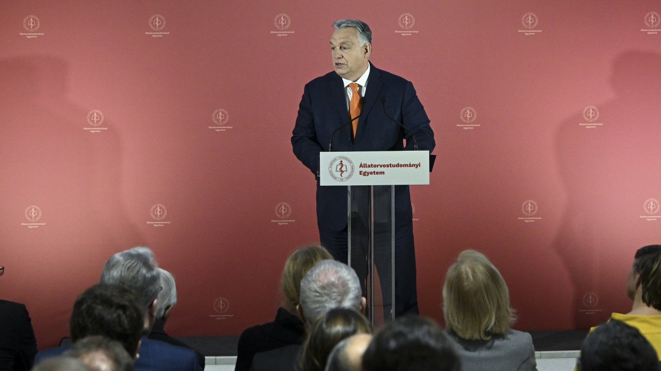 Orbán Viktor miniszterelnök beszédet mond Budapesten, az Állatorvostudományi Egyetem István utcai felújított pavilonépületeinek átadásán 2024. december 10-én.