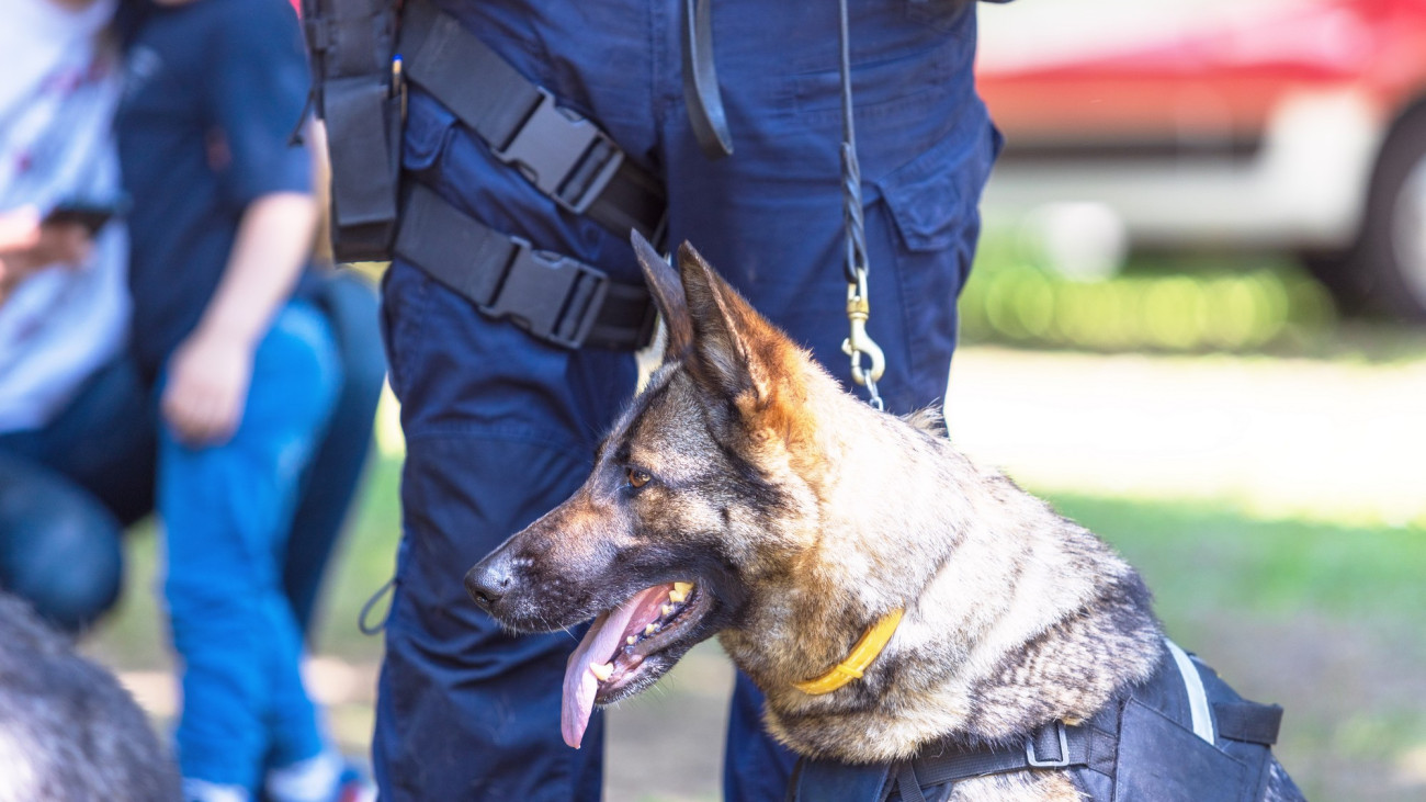 Friss részletek a párizsi magyar nagykövetség elleni bombafenyegetésről