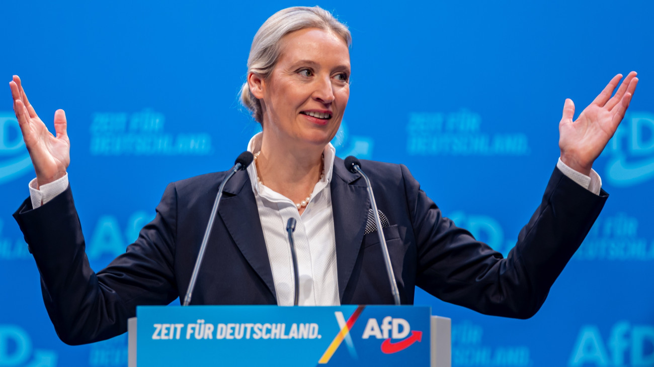 Programot hirdetett az AfD: újra napirenden a remigráció