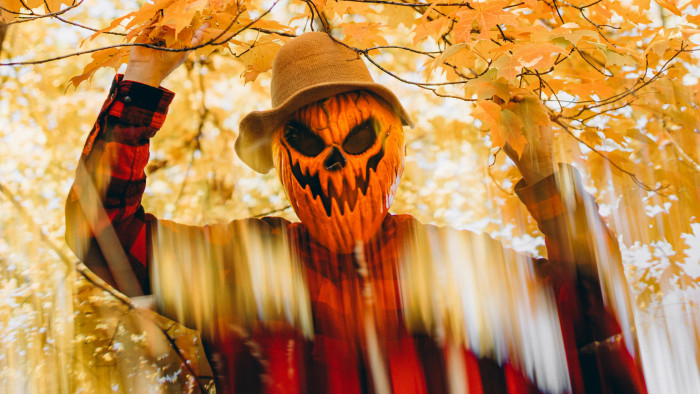 Halottak napjára terveztek terrortámadást