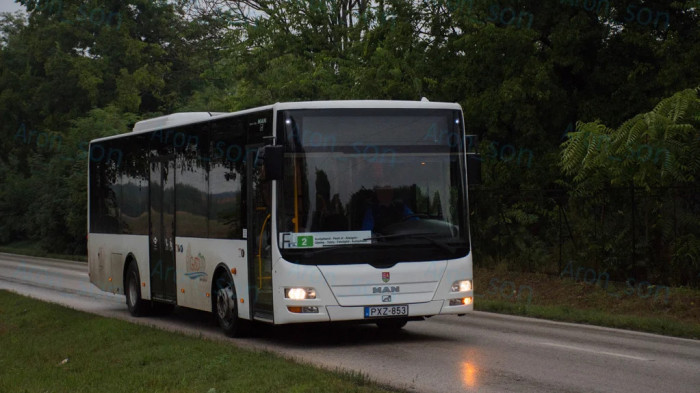 Ingyenes lesz a tömegközlekedés egy magyar városban