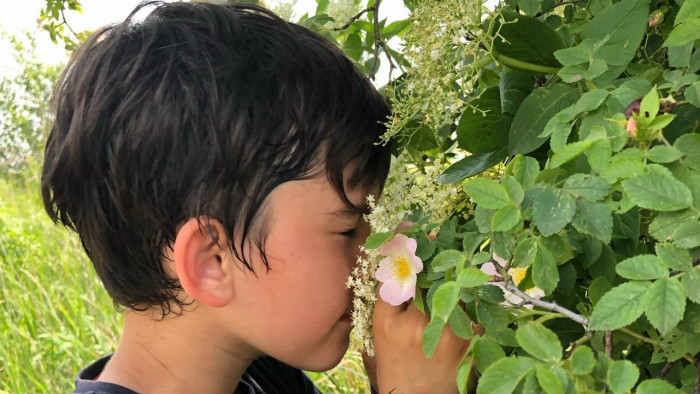 Nevelőszülő lennék, merre induljak?