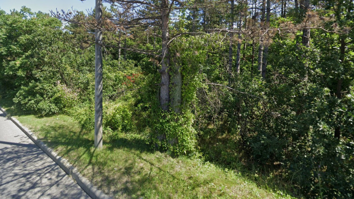 Halálos balesetet szenvedett egy gyakorlatozó amerikai katona Magyarországon