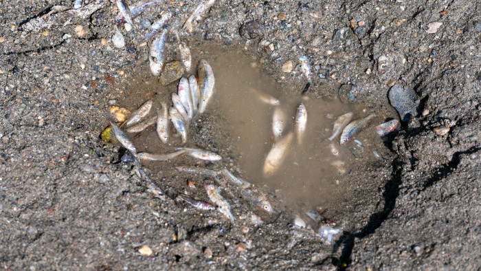 Parajdi bányakatasztrófa – újabb Maros megyei községben hirdettek veszélyhelyzetet