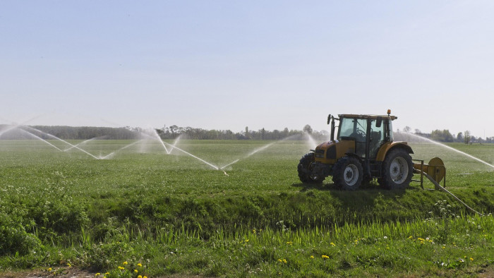 Bővült a magyar mezőgazdaság teljesítménye, de a gyümölcstermesztésben súlyos a visszaesés