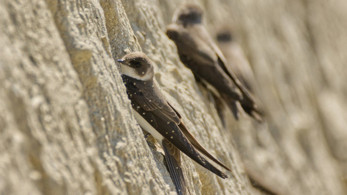 Odébb rakott egy nagy halom földet, súlyos ügy lett belőle