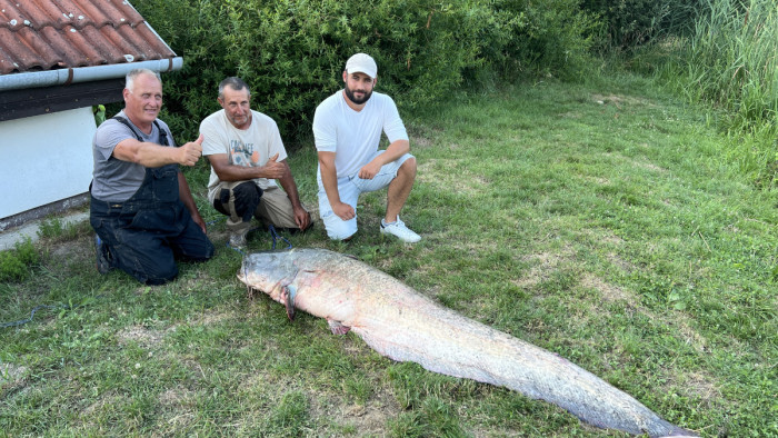 Fantasztikus rekord a Balatonnál