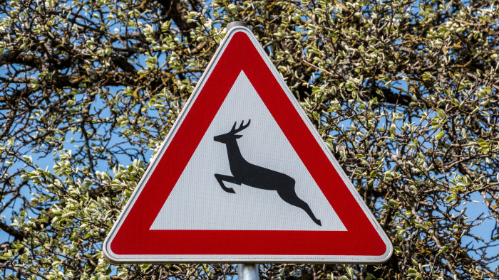 Üzekednek az őzek, jönnek a tömeges vadbalesetek – csak egy megoldás van