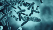 Valami nagyon más az antibiotikum helyett