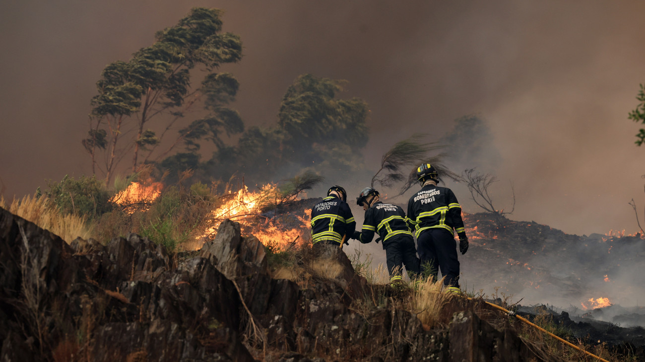 Erdőtűz ellen küzdő tűzoltók a portugáliai Mocaóban 2025. július 29-én.