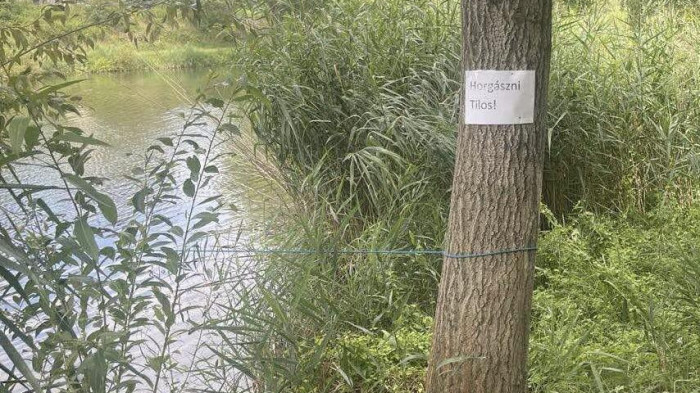 Azonnali tilalmat rendeltek el, fulladoztak a halak a tóban