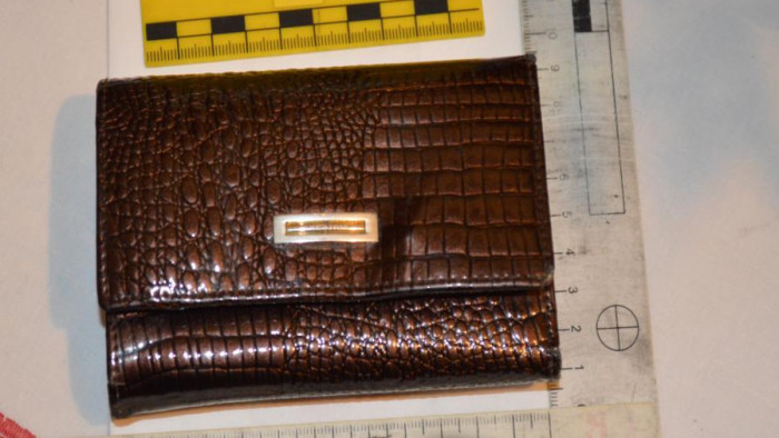 A macskát akarta beengedni, nagy baj lett belőle