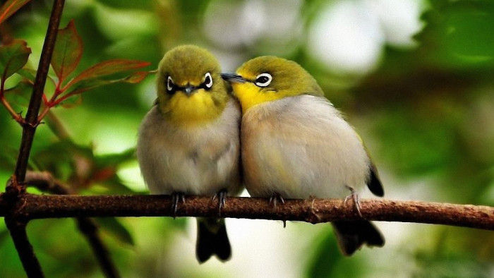 Többet segíthet a dallamtapadás, mint gondolnánk – de megmutatjuk, hogyan szüntethető meg