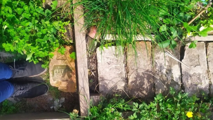 Elő a mulccsal, avagy mi a teendőnk hőség idején a kertben