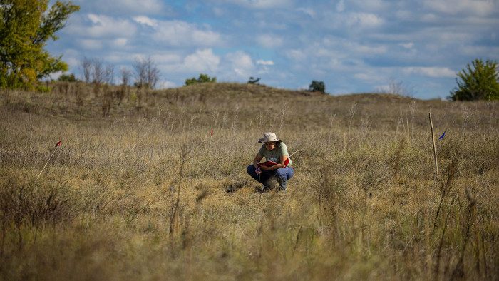 Nagy a baj, óriási kipusztulás történt a Kiskunságon