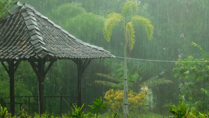 Leállt egy egész ország a szupertájfun miatt