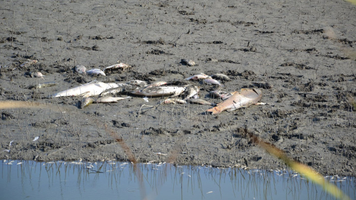 Botrány: eltüntettek egy komplett magyarországi tavat