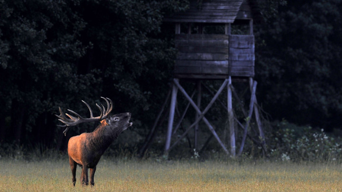 Bármennyire is csábító, ezt felejtsük el túrázáskor