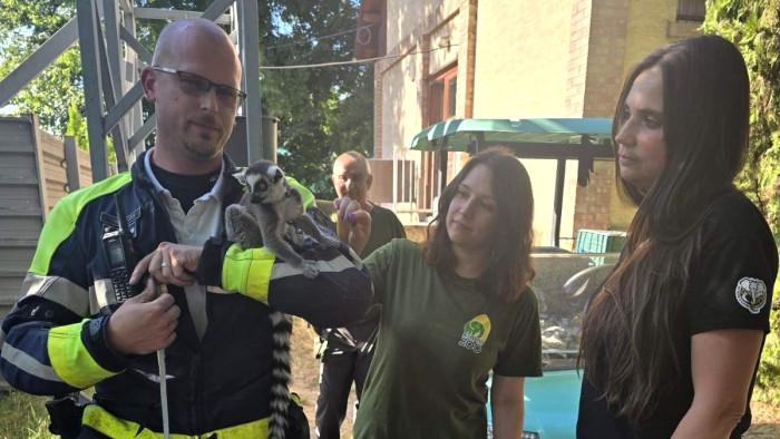 Ezen mindenki nagyot nézett, de a rendőrök már meg se lepődtek – képek