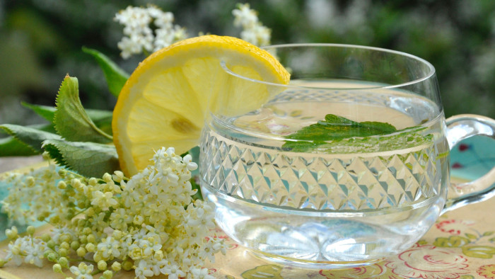 Értelmetlenné válhat egy hagyományos magyar növény termesztése